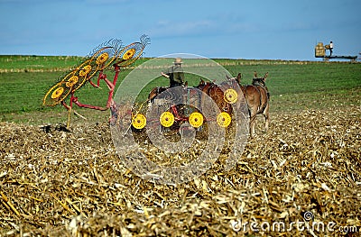 Lancaster County, PA: Amish Farmer in Field Editorial Stock Photo