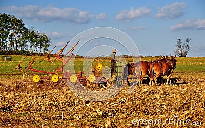 Lancaster County, PA: Amish Farmer Tilling Field Editorial Stock Photo