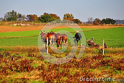 Lancaster County, PA: Amish Farmer Tilling Field Editorial Stock Photo