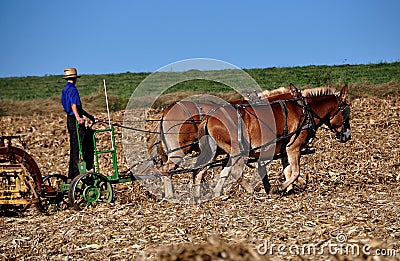 Lancaster County, PA: Amish Farmer Tilling Field Editorial Stock Photo