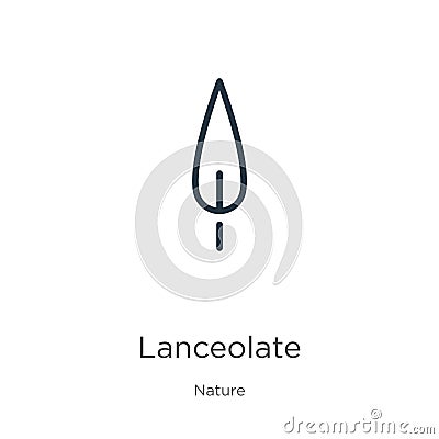 Lanceolate icon. Thin linear lanceolate outline icon isolated on white background from nature collection. Line vector sign, symbol Vector Illustration