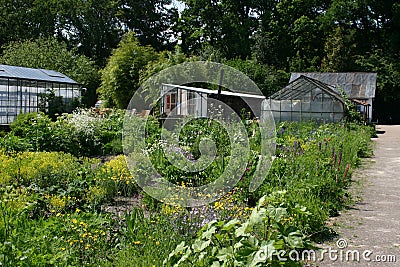 Land and Biological horticulture Boschzigt Stock Photo