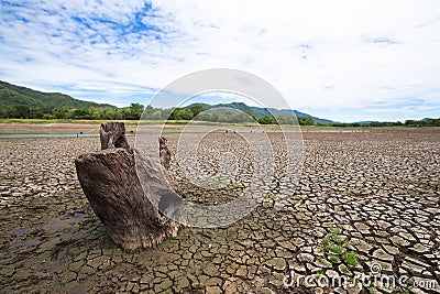 Land with dry and cracked ground because dryness global warming Stock Photo