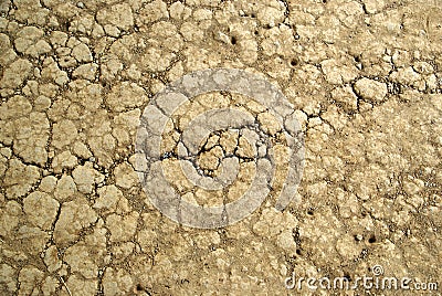 Land with dry cracked ground Stock Photo