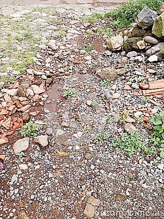 land full of rocks and weeds Stock Photo