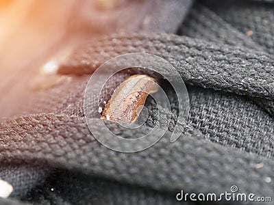 Land leeches or Slug Haemadipsa sylvestris is moving on my shoe. Stock Photo