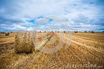 Land of sheaves Stock Photo