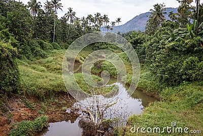 Landcape image of a tiny tributary of the Periyar river in Kerala, India Stock Photo