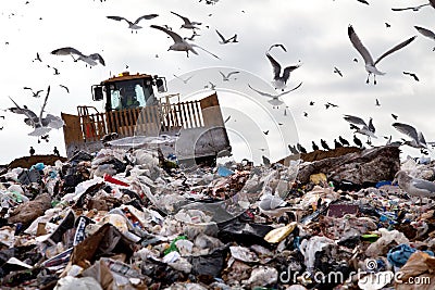 Landfill with birds Stock Photo