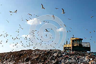 Landfill Working Stock Photo