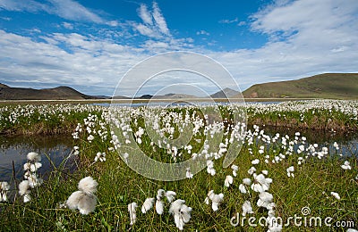 Landmannalaugar Stock Photo