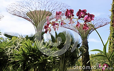 Landmark of Singapore Stock Photo