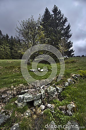 Landsapce of mountain in France, Vosges, fiels and forest, dark sky Stock Photo