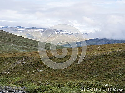 Landscap of Lapland nature at Kungsleden hiking trail with reindeers, colorful mountains, rocks, autumn colored bushes, birch tree Stock Photo