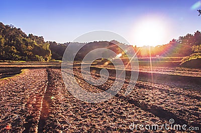 Landscape agricultural field arable land Stock Photo