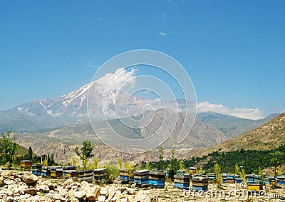 Honey beehive boxes and landscape of Damavand Stock Photo