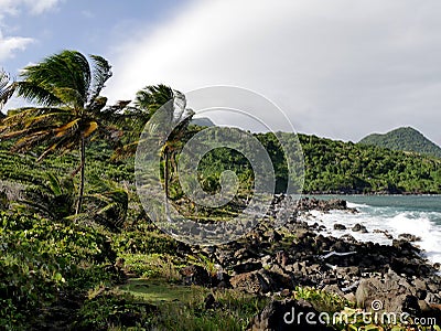 landscape of anse grande ravine in trois rivieres, guadeloupe Stock Photo