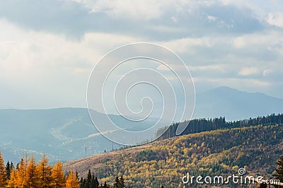 landscape autumn in the mountains colored coniferous forest Stock Photo