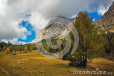 Landscape in autumn at Passo Falzarego, Dolomites, Italian Alps Stock Photo