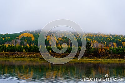 The landscape of the autumn riverbank with hills covered with dense forest of green and yellow leaves. Fog over the taiga river in Stock Photo