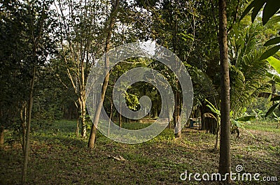 Landscape background in Thailand Stock Photo