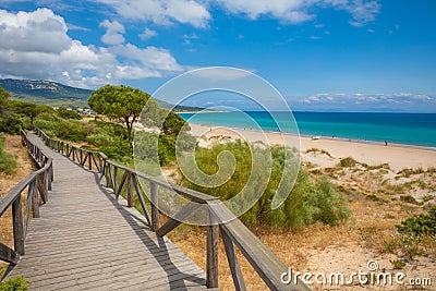 Landscape of beach in Cadiz with footbridge in forest Stock Photo