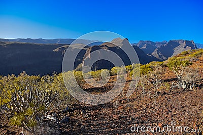 LANDSCAPE Stock Photo