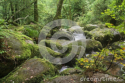 Landscape of Becky Falls waterfall in Dartmoor National Park Eng Stock Photo