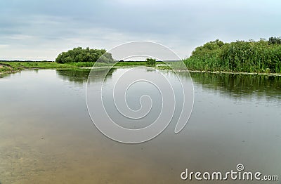 Landscape of Biebrza National Park, Biebrza river and wetland, meadows, swamps. Stock Photo