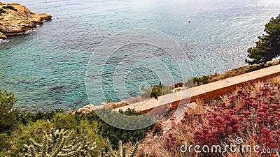 landscape with a black cat sitting on the beach Stock Photo