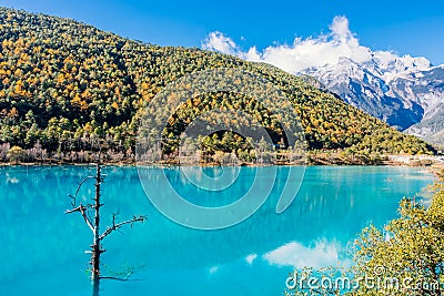 Landscape of Blue Moon Valley in Jade Dragon Snow Mountain, Lijiang, Yunnan, China Stock Photo