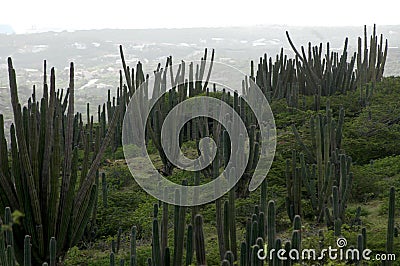 Beautiful sunny Landscape Stock Photo