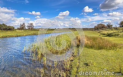 Landscape with canal in Amsterdamse waterleidingduinen Stock Photo
