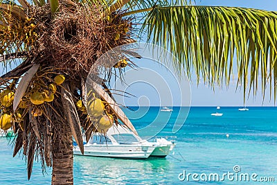 Landscape of the caribbean sea, Bayahibe, La Altagracia, Dominican Republic. Copy space for text. Stock Photo