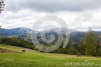 Landscape in Carpathians in auturmn Stock Photo