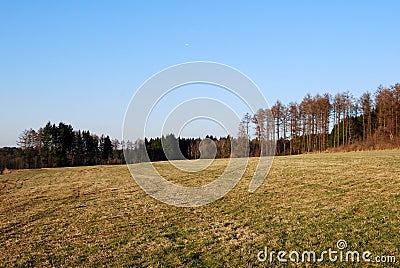 Landscape of a contryside field and forest trees, on a beautiful autumn day. Nature photography with a blue sky Stock Photo