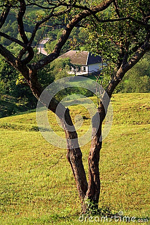 Landscape at the country side Stock Photo