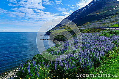 Landscape and countryside along the Eyjafjordur Stock Photo