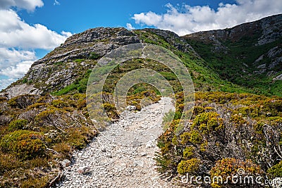 Landscape of Cradle mountain Tasmania, Australia Stock Photo