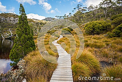 Landscape of Cradle mountain Tasmania, Australia. Stock Photo