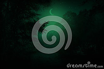 Summer night fairy tale landscape with mill and moon Stock Photo