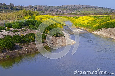 Landscape of Crocodiles river winding through mustard flowers Israel Stock Photo