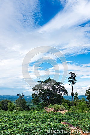 Landscape of cultivated area against blue sky and cloudy Stock Photo