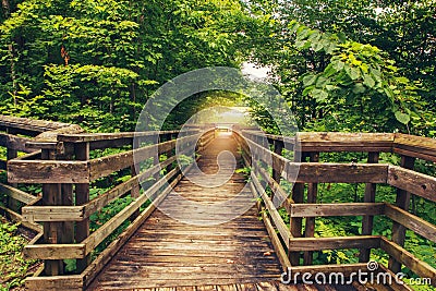 Landscape day view at Canadian Ontario Kettles lake in Midland with wooden path way to forest. Canada forest nature. Stock Photo