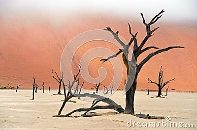 Dead Vlei, Namibia, South Africa Stock Photo