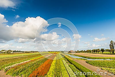 Landscape with deep perspective to horizon ans sky Stock Photo