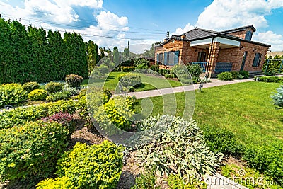 Landscape design. Beautiful view of landscaped garden in backyard Stock Photo