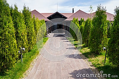 landscape design of a country house. path lined with tiles, tui grow along Stock Photo