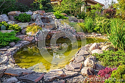 Landscape design of home garden close-up. Beautiful landscaping with small pond and waterfall Stock Photo