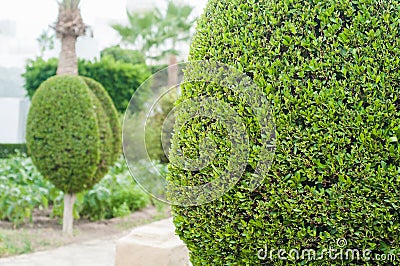 Landscape design Stock Photo